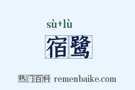 宿鹭是什么意思的图片